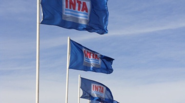 INTA: buscan achicar unos mil puestos de trabajo, vender tierras y profundizar el ajuste