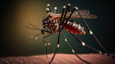 Dengue: el Gobierno se reúne con los ministros de Salud de todas las provincias